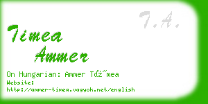 timea ammer business card